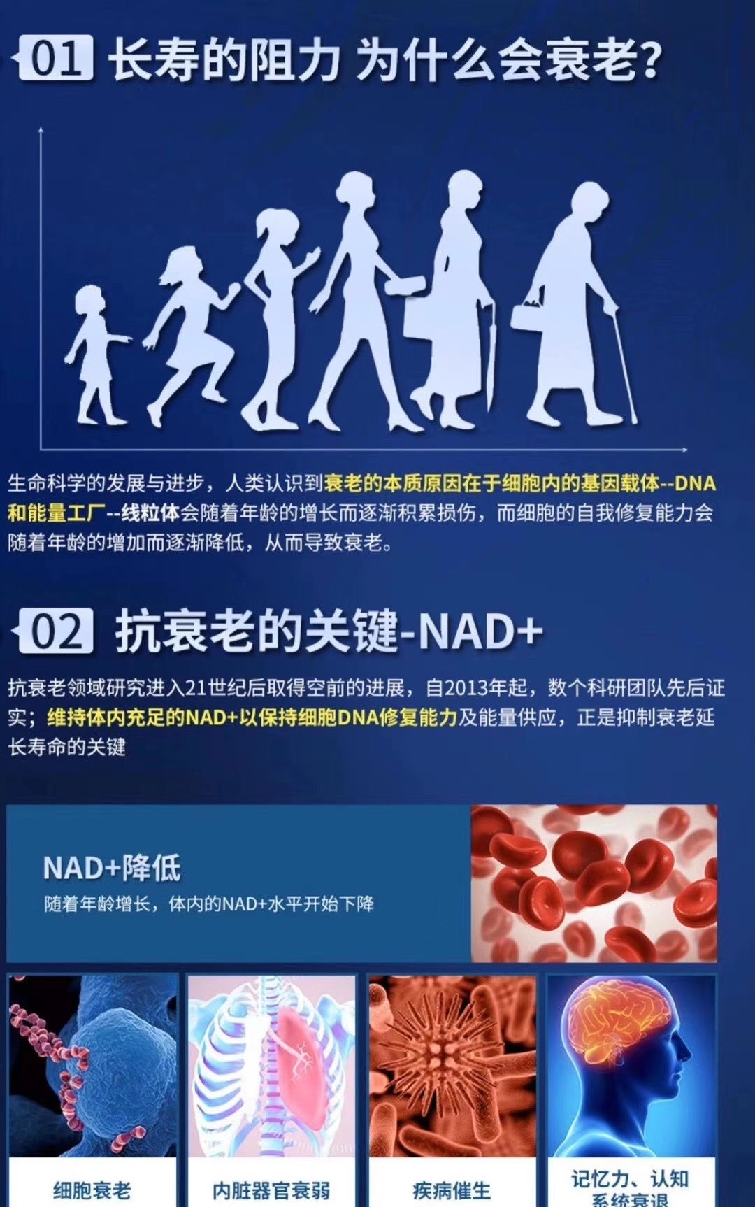 01長壽的阻力 為什么會(huì)衰老?02 抗衰老的關(guān)鍵-NAD+