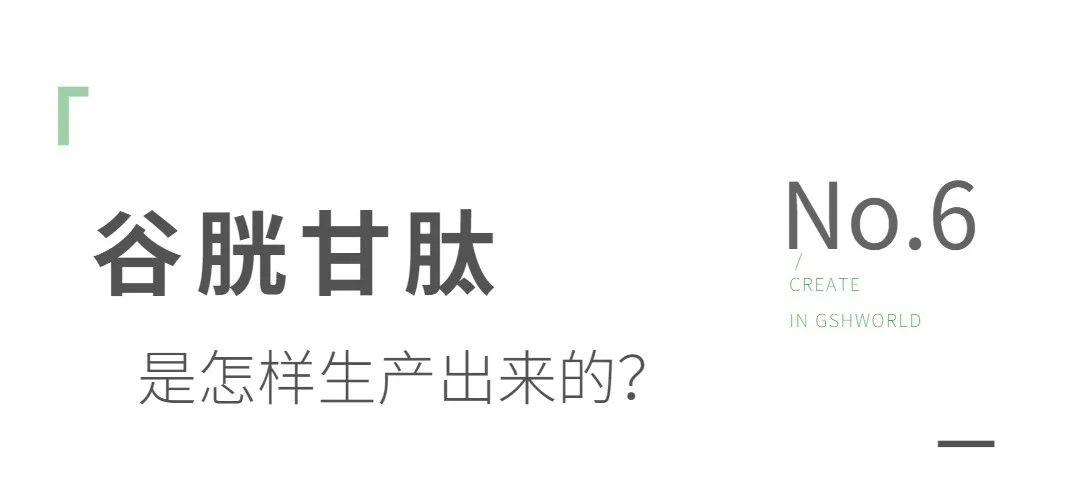 谷胱甘肽是如何生產(chǎn)的？