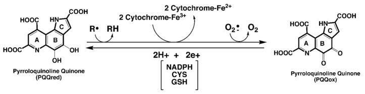 包含圖片、插圖等的外部文件。
對象名稱為 biomolecules-11-01441-g001.jpg