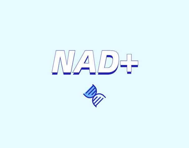 NAD與NMN的全新概念？