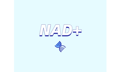 NAD+領域的迅速發(fā)展