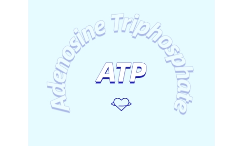 ATP有什么用？