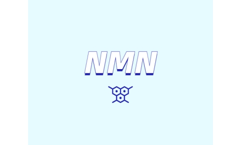 哪里可以買到 nmn？