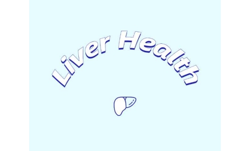 哪些原料可助力肝臟健康？