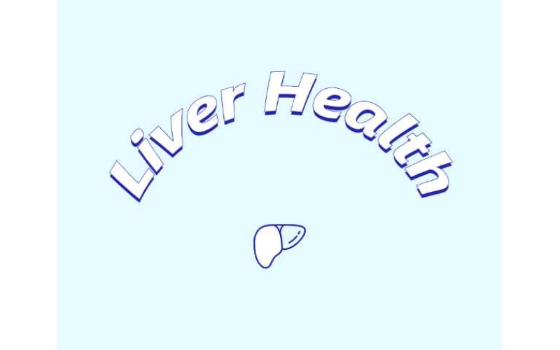 哪些原料可助力肝臟健康？